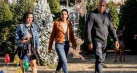 Морская полиция: Лос-Анджелес 10 сезон 11 серия