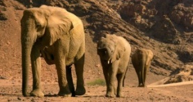 Наша планета 1 сезон 5 серия