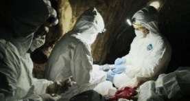 Пандемия: Как предотвратить распространение 1 сезон 3 серия