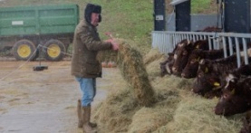 Ферма Кларксона 2 сезон 4 серия