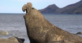 Великаны планеты 1 сезон 2 серия