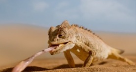 Крошечный мир 2 сезон 6 серия