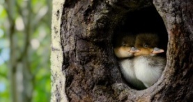 Крошечный мир 2 сезон 3 серия