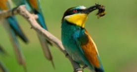 Крошечный мир 2 сезон 1 серия