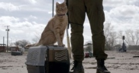 Бойтесь ходячих мертвецов 5 сезон 4 серия