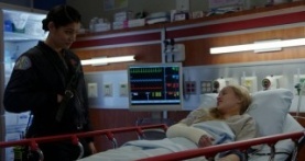 Чикаго в огне 10 сезон 17 серия