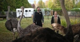 Контроль за животными 1 сезон 1 серия