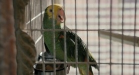 Убийства в одном здании 2 сезон 9 серия