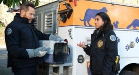 Контроль за животными 2 сезон 4 серия Контроль за животными 2 сезон 4 серия