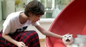 Легкая улыбка покоряет мир 23 серия