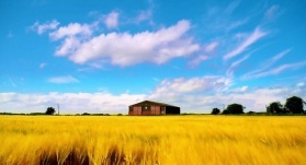 Утопия 2 сезон 4 серия