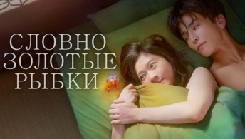 Словно золотые рыбки Словно золотые рыбки