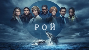 Рой Рой