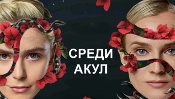 Среди акул Среди акул