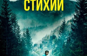 В плену стихии В плену стихии