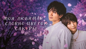 Моя любимая словно цветок сакуры