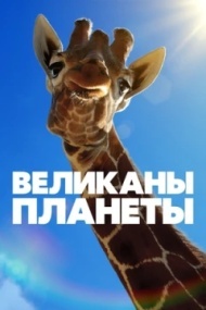 Великаны планеты Великаны планеты