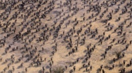 Наша планета 2 сезон 1 серия