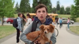 Целебные силы Чувака 1 сезон 1 серия