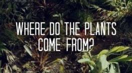 Возвращение домой 1 сезон 4 серия