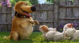 Будни Дага 1 сезон 2 серия