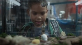 Воспитывая Диона 1 сезон 4 серия