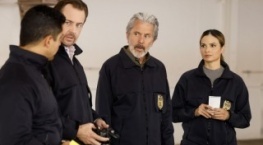 Морская полиция: Спецотдел 22 сезон 8 серия