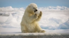 Великаны планеты 1 сезон 10 серия