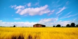 Утопия 2 сезон 4 серия