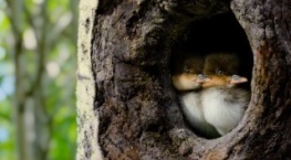 Крошечный мир 2 сезон 3 серия