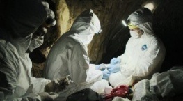 Пандемия: Как предотвратить распространение 1 сезон 3 серия