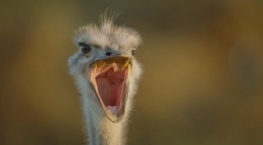 Великаны планеты 1 сезон 7 серия