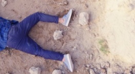 Академия Гринхаус 3 сезон 8 серия