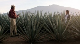 Монархиня 1 сезон 1 серия