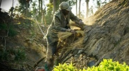 Зелёная планета 1 сезон 5 серия