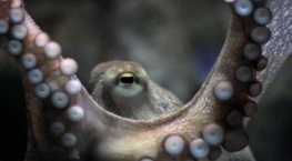 Разъяснения 2 сезон 3 серия