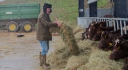 Ферма Кларксона 2 сезон 4 серия