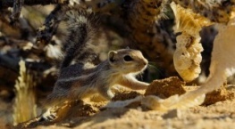 Крошечный мир 2 сезон 2 серия