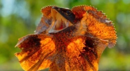 Крошечный мир 1 сезон 4 серия