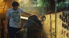 Хостел Дейз 2 сезон 4 серия