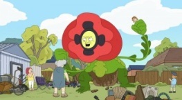 Человек-коала 1 сезон 1 серия