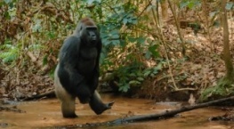 Великаны планеты 1 сезон 4 серия