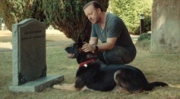 Следом за жизнью 1 сезон 1 серия