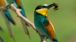 Крошечный мир 2 сезон 1 серия