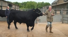 Ферма Кларксона 4 сезон 5 серия