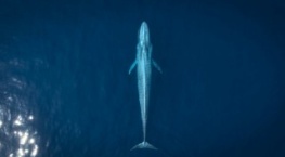 Великаны планеты 1 сезон 1 серия