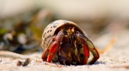 Крошечный мир 1 сезон 3 серия