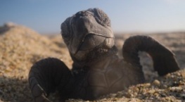 Наша планета 2 сезон 3 серия