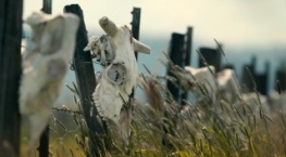 Неразгаданные тайны 5 сезон 3 серия