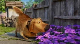 Будни Дага 1 сезон 3 серия